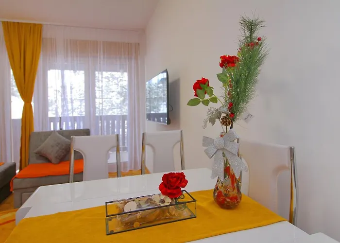 Apartmán Jony Lux Center