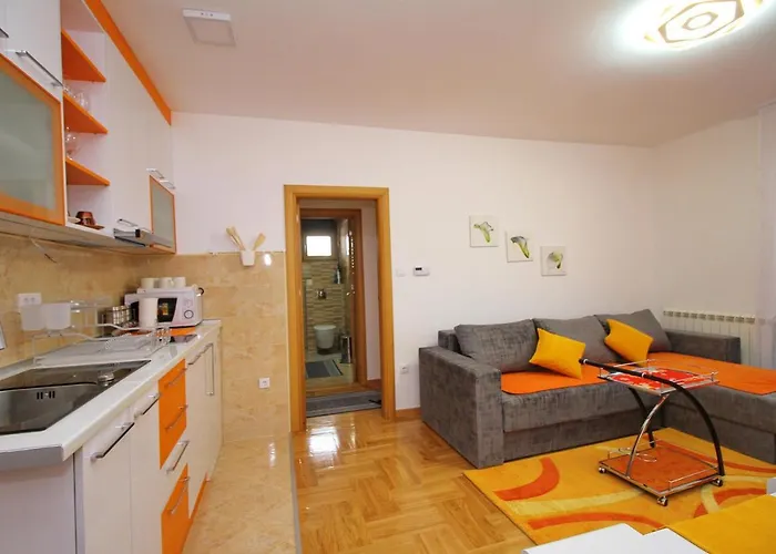 Jony Lux Center Apartmán Zlatibor